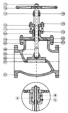 Class 300 Globe Valve (bio)ֹy