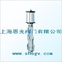 (dng)ly DZ673
